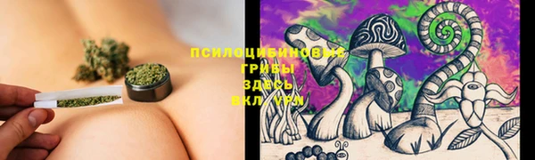 СК Абдулино